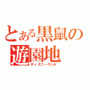 とある黒鼠の遊園地（ディズニーランド）