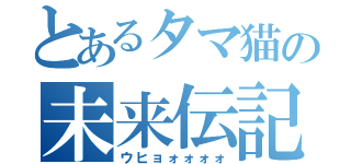 とあるタマ猫の未来伝記（ウヒョォォォォ）