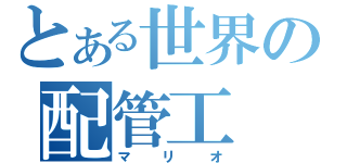 とある世界の配管工（マリオ）