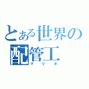 とある世界の配管工（マリオ）