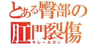 とある臀部の肛門裂傷（キレールガン）