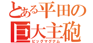 とある平田の巨大主砲（ビッグマグナム）