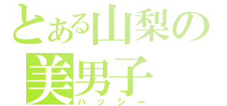 とある山梨の美男子（ハッシー）