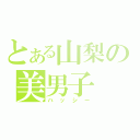 とある山梨の美男子（ハッシー）