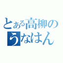 とある高柳のうなはん（）