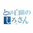 とある白猫のしろさん（´・ω・｀）