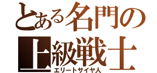 とある名門の上級戦士（エリートサイヤ人）