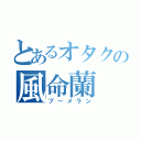 とあるオタクの風命蘭（ブーメラン）