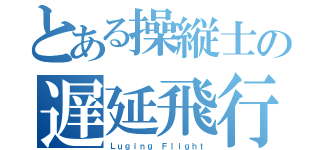 とある操縦士の遅延飛行（Ｌｕｇｉｎｇ Ｆｌｉｇｈｔ）