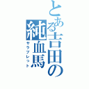 とある吉田の純血馬（サラブレっト）