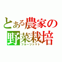 とある農家の野菜栽培（フルーツトマト）