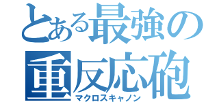 とある最強の重反応砲（マクロスキャノン）