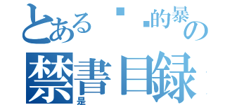 とある绝园的暴风雨の禁書目録（是）