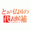 とある仏国の代表候補（シャルたんペロペロ）