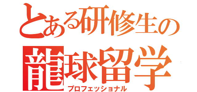 とある研修生の龍球留学（プロフェッショナル）