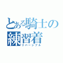 とある騎士の練習着（リバーシブル）