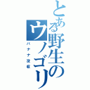 とある野生のウノゴリラ（バナナ没収）