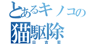 とあるキノコの猫駆除（日吉若）