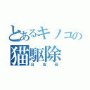 とあるキノコの猫駆除（日吉若）