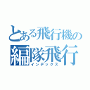 とある飛行機の編隊飛行（インデックス）