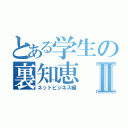 とある学生の裏知恵Ⅱ（ネットビジネス編）