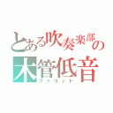 とある吹奏楽部の木管低音（ファゴット）