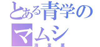 とある青学のマムシ（海童薫）