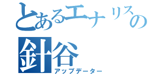 とあるエナリスの針谷（アップデーター）