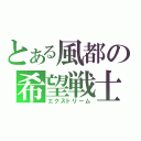 とある風都の希望戦士（エクストリーム）