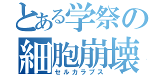 とある学祭の細胞崩壊（セルカラプス）