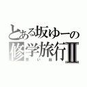 とある坂ゆーの修学旅行Ⅱ（思い出）