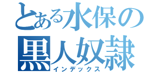 とある水保の黒人奴隷（インデックス）