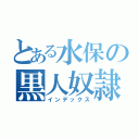 とある水保の黒人奴隷（インデックス）