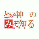 とある神のみぞ知るセカイ（女神篇）