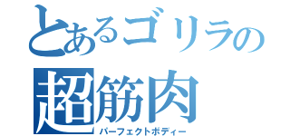 とあるゴリラの超筋肉（パーフェクトボディー）