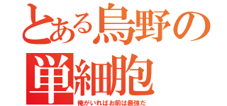 とある烏野の単細胞（俺がいればお前は最強だ）