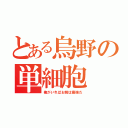 とある烏野の単細胞（俺がいればお前は最強だ）