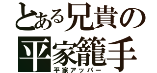 とある兄貴の平家籠手（平家アッパー）