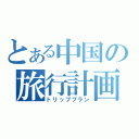 とある中国の旅行計画（トリッププラン）