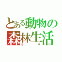 とある動物の森林生活（もり）