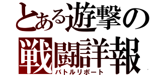 とある遊撃の戦闘詳報（バトルリポート）