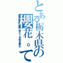 とある栃木県の櫻花。てめぇ（誰だ？名前名乗れ）