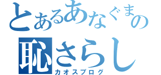 とあるあなぐまの恥さらし（カオスブログ）