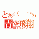 とある（ ＾ω＾）の青空飛翔（空も飛べるはず）