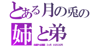 とある月の兎の姉と弟（永遠亭⇔紅魔館 ３ヶ月 ４９５００円）