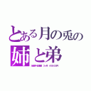 とある月の兎の姉と弟（永遠亭⇔紅魔館 ３ヶ月 ４９５００円）