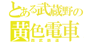 とある武蔵野の黄色電車（西武鉄道）