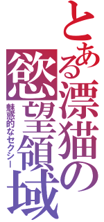 とある漂猫の慾望領域Ⅱ（魅惑的なセクシー）