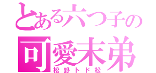 とある六つ子の可愛末弟（松野トド松）