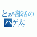 とある部活のハゲ太（かんた）